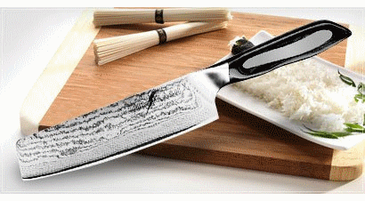 couteau japonais tojiro
